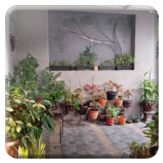 Rumah Sektor 6 Gading Serpong